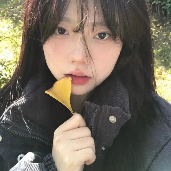 白色的南方